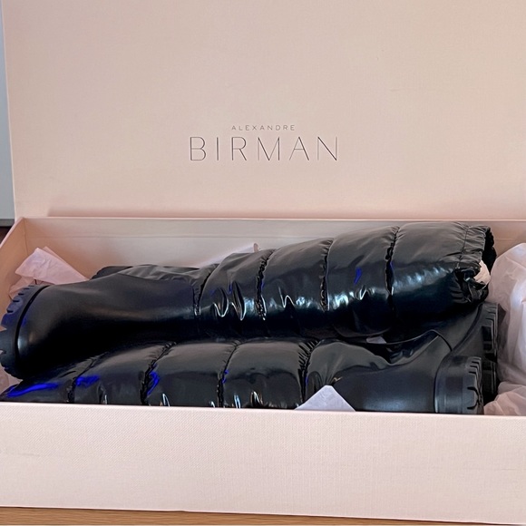 Alexandre Birman Clarita Waterproof Leather Boots - Picture 4 of 10